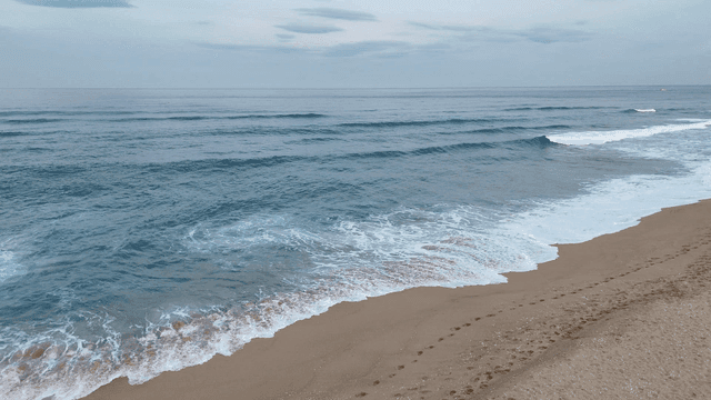 Quiet sandy beach with gentle waves