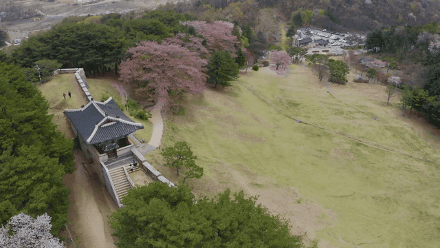 성문을 따라 벚꽃이 어우러진 성곽 풍경