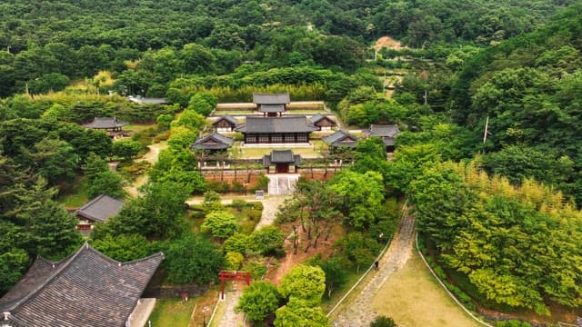 푸른 나무로 둘러싸인 한국 전통 가옥