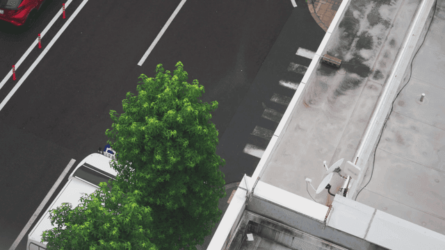 나무가 있는 거리의 항공 뷰