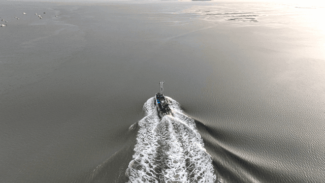 고요한 바다를 항해하는 어선