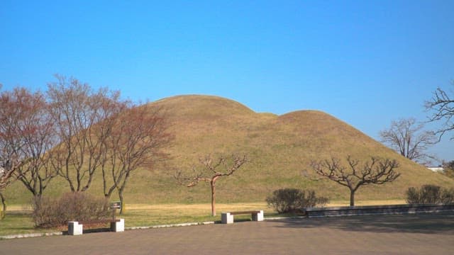 Plump ancient burial mounds surrounded by bare trees under a clear sky