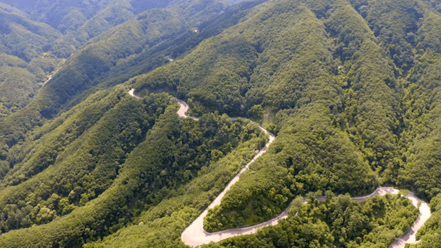 푸른 산을 가로지르는 구불구불한 도로