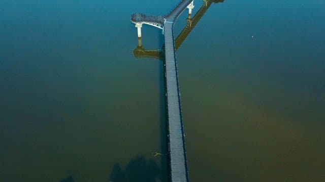 고요한 수면 위로 길게 이어진 월영교