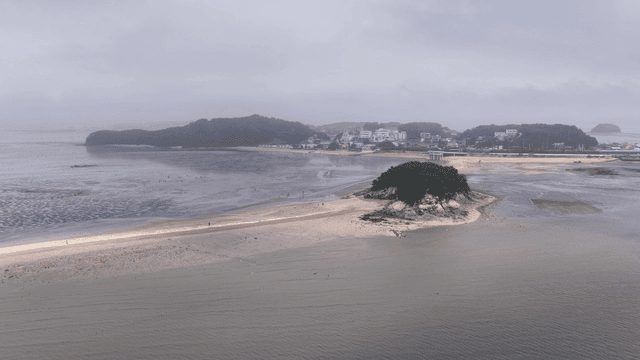 Quiet mudflat beach with village visible in distance