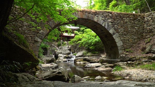 Old stone bridge over a stream in a lush forest