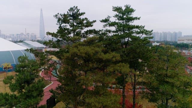 도시 공원과 스카이라인의 전망