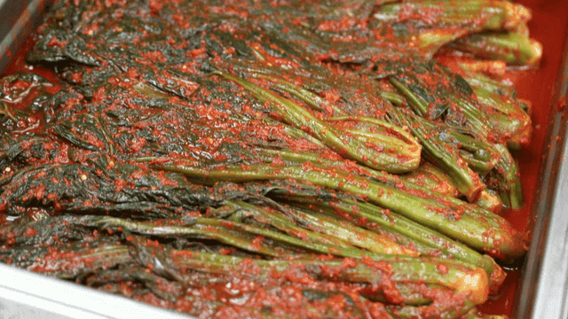 Tray filled with neatly served gatgimchi