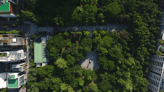 녹지가 있는 도시의 항공 뷰