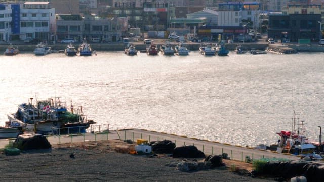 Peaceful harbor filled with moored boats under an afternoon sun