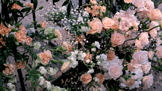 분홍색과 흰색 꽃의 아름다운 배열