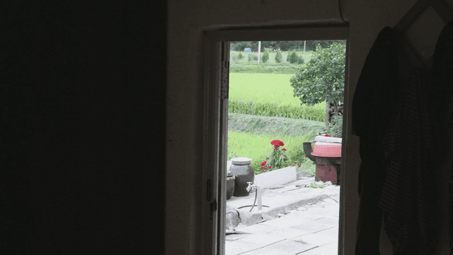 View of a farm through an open door