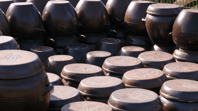 가지런히 진열되어 있는 전통 한국 항아리