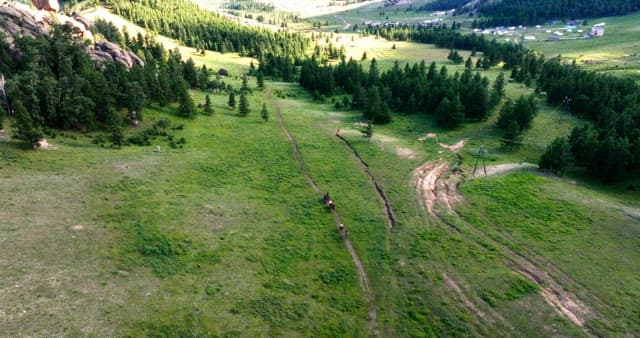 푸른 숲 속 길을 지나가는 사람들