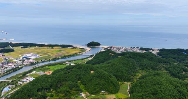 Coastal landscape with fields and forest