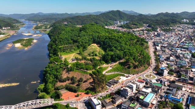 Lush green forest with a city in the background