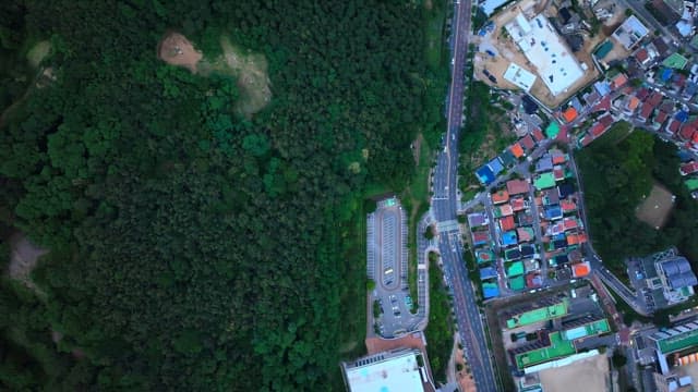 울창한 숲 옆 도시를 내려다본 모습