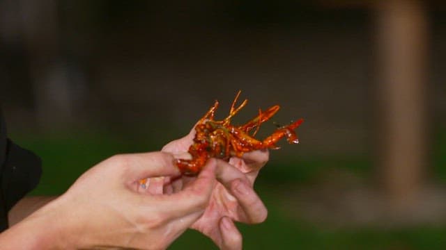 먹음직스럽게 조리된 마라룽샤의 가재 살을 바르는 모습