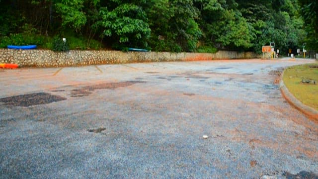 푸른 숲이 보이는 도로 위를 지나는 붉고 작은 게들