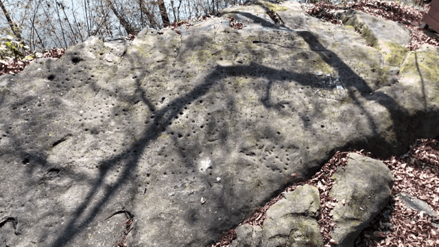 Large rock with shadows in a forest
