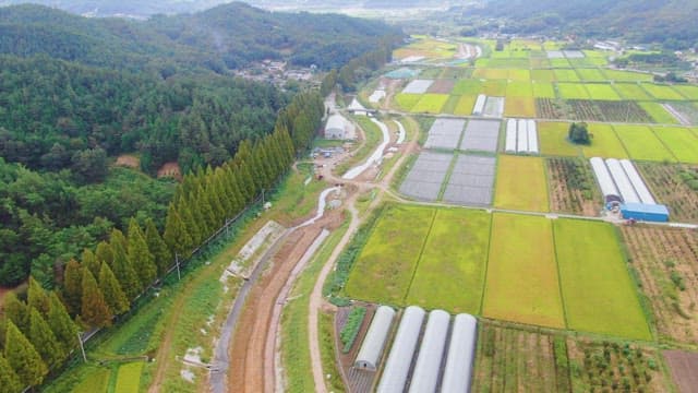 Expansive farmland with greenhouses and forest