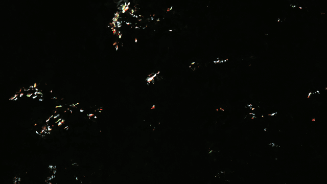 Shining light in dark space