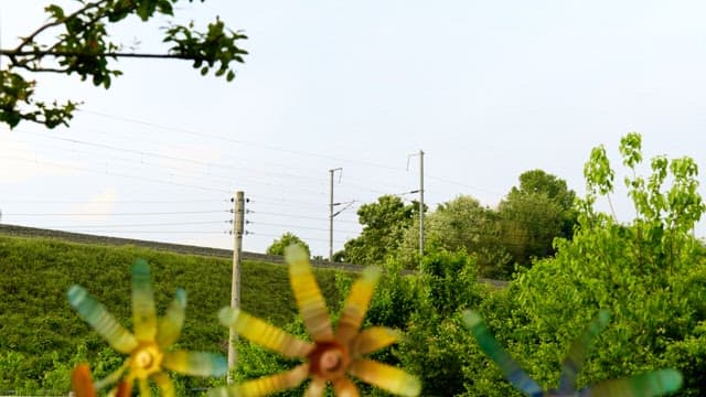 Train running on a railroad surrounded by trees and green foliage