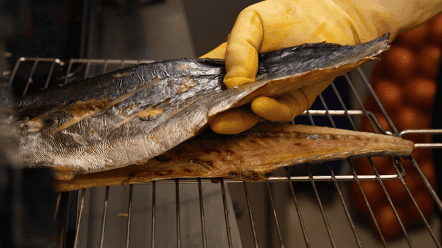 Grilled Spanish mackerel on kitchen grill