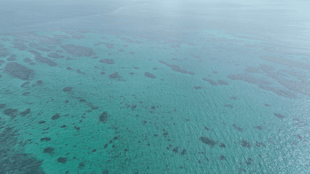 Blue tropical coastline and vast sea