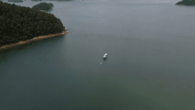 숲이 우거진 섬 근처의 잔잔한 바다에 떠 있는 배