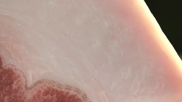 신선한 생삼겹살에 붙은 지방