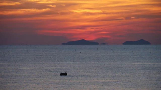 Serene Sunset over Sea with Birds Flying