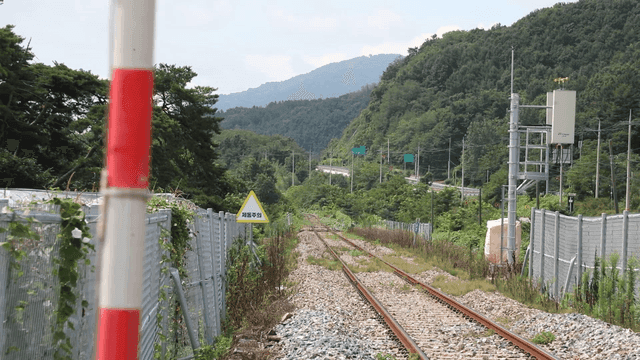 Railroad tracks surrounded by lush greenery