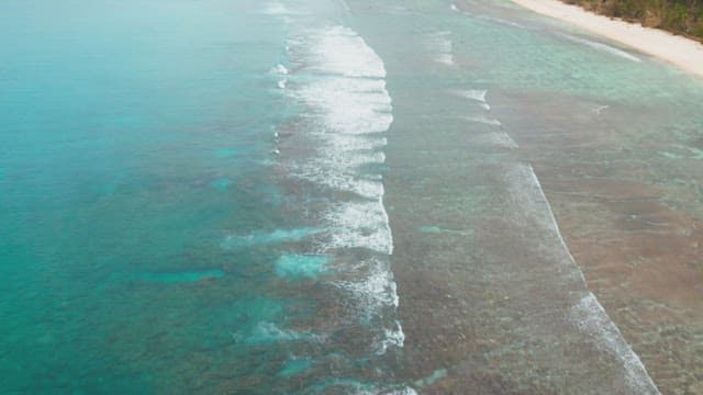 Serene beach with gentle waves