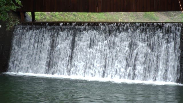 Small dam under a wooden bridge in a green forest