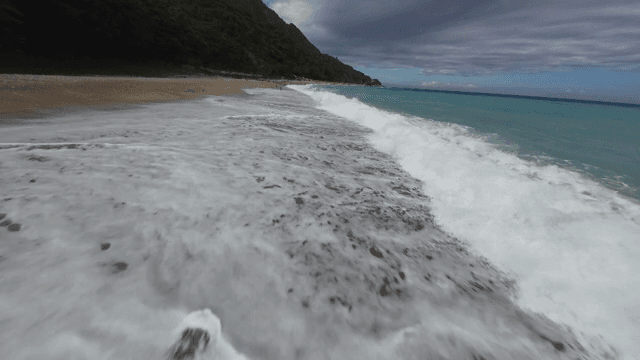 푸른 숲과 어우러진 해변