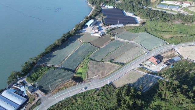 Coastal Countryside with Agricultural Fields