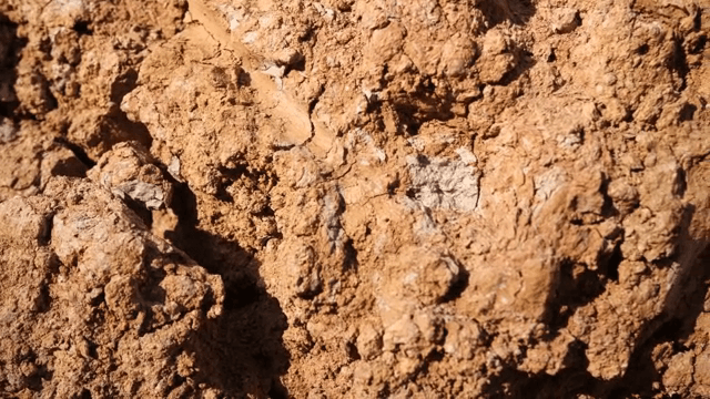 뭉쳐있는 진흙 표면