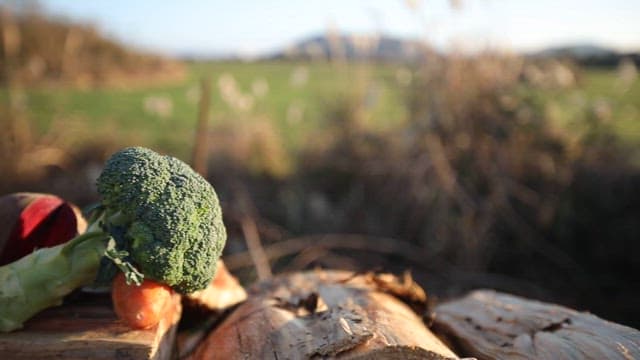 나무 통나무 위에 플레이팅된 신선한 채소와 주스