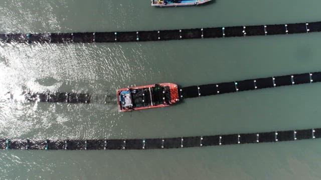 김 양식장 그물 사이를 항해하는 배들