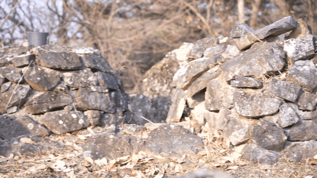 Pile of stones in forest