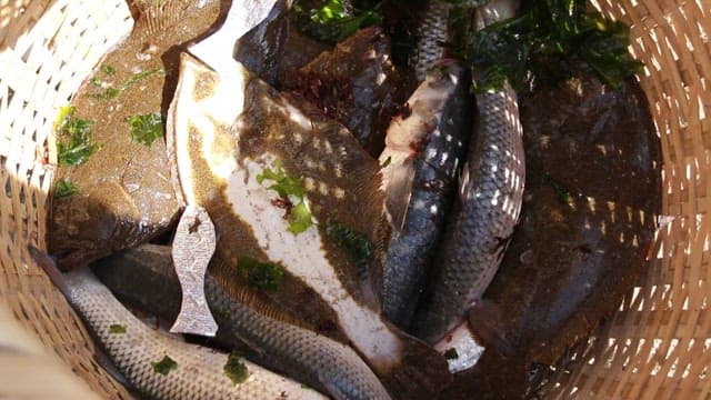 Fresh fish flapping in a wooden basket