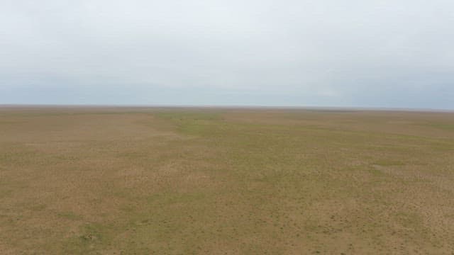 아무것도 없는 황량한 사막의 대지