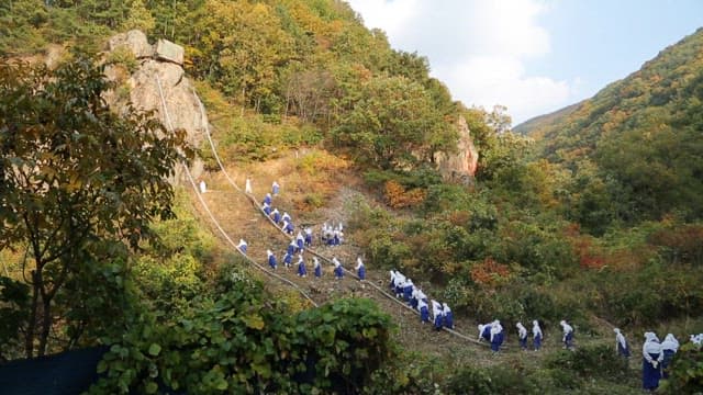 Women climbing a mountain path filled with greenery in traditional attire, Hanbok