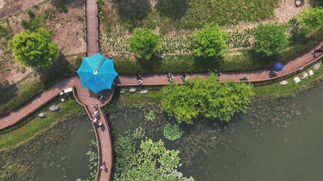 고요한 연못 옆 산책로를 걷는 사람들