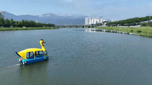 도심 강 위의 알록달록한 오리배