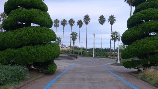 정원의 잘 조성된 나무와 야자수