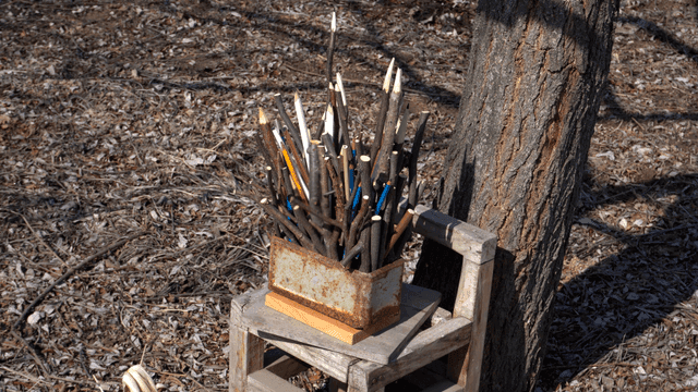 Wooden pencil carving displayed against forest background