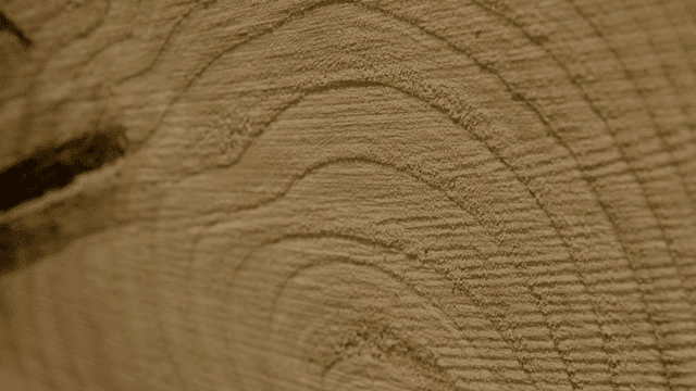 Close-up of tree rings on a wooden surface