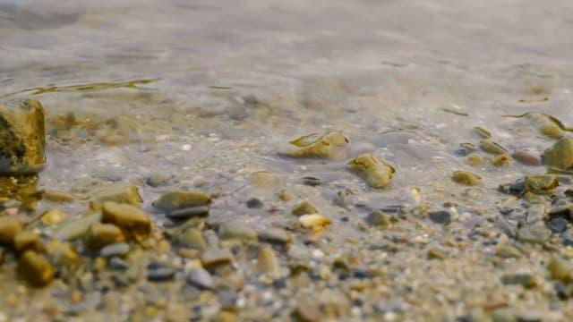 자갈들을 덮는 작은 파도